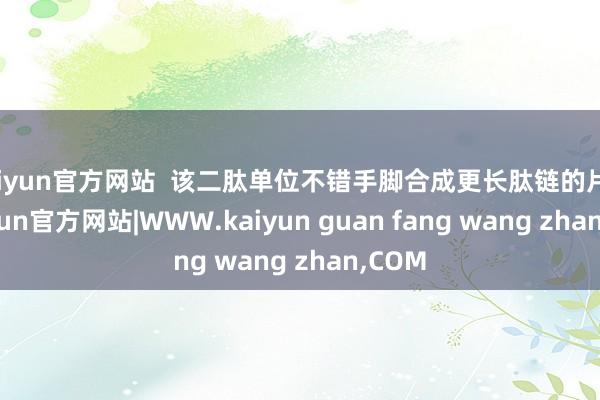 kaiyun官方网站  该二肽单位不错手脚合成更长肽链的片断-kaiyun官方网站|WWW.kaiyun guan fang wang zhan,COM