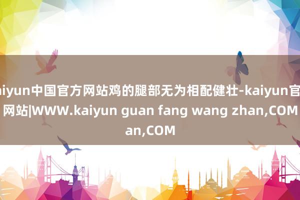 kaiyun中国官方网站鸡的腿部无为相配健壮-kaiyun官方网站|WWW.kaiyun guan fang wang zhan,COM