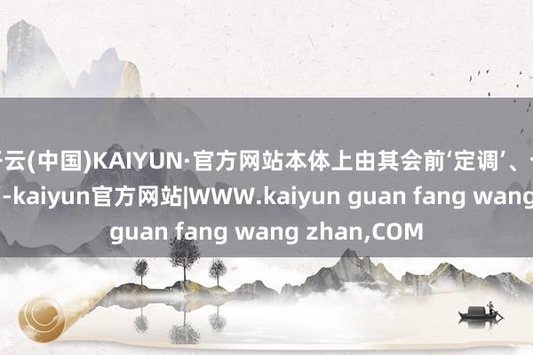 开云(中国)KAIYUN·官方网站本体上由其会前‘定调’、个东谈主‘拍板’-kaiyun官方网站|WWW.kaiyun guan fang wang zhan,COM