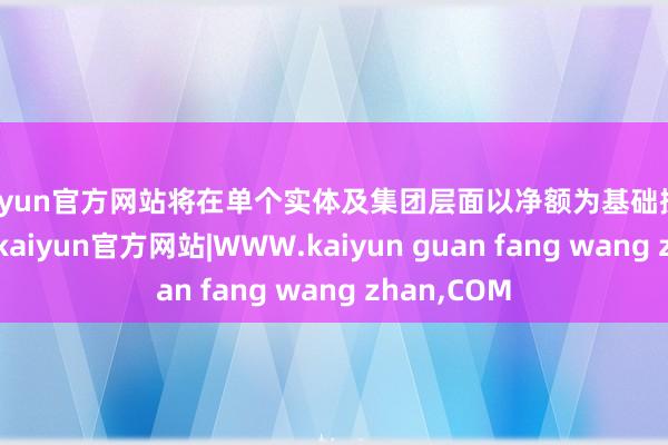 kaiyun官方网站将在单个实体及集团层面以净额为基础操办抓仓仓位-kaiyun官方网站|WWW.kaiyun guan fang wang zhan,COM
